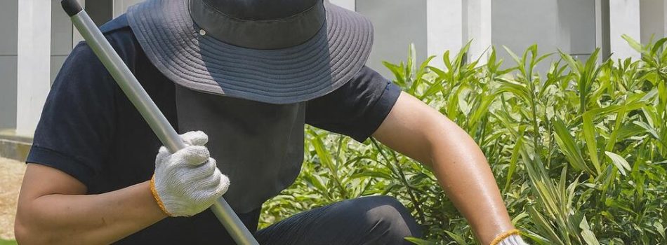 signal-2025-09-12-151251_002